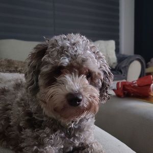 Meet your Posher, Maciej